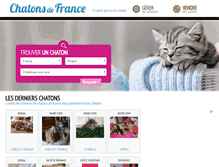 Tablet Screenshot of chatons-de-france.com